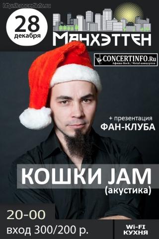 Кошки Jam акустика 28 декабря 2012, концерт в Манхэттен, Санкт-Петербург
