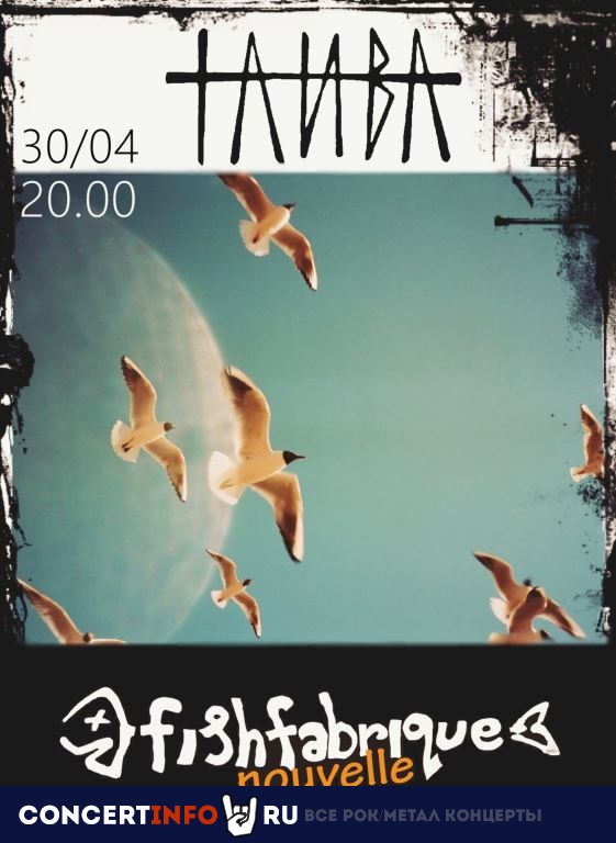 Таива 30 апреля 2024, концерт в Fish Fabrique Nouvelle, Санкт-Петербург