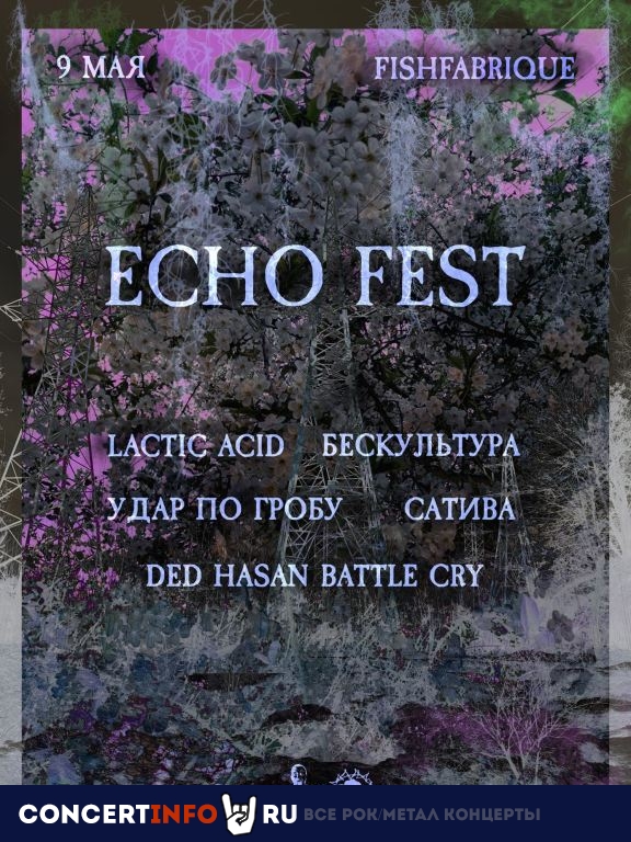 ECHO Fest 9 мая 2024, концерт в Fish Fabrique Nouvelle, Санкт-Петербург