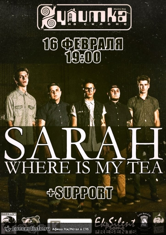 SARAH WHERE IS MY TEA 16 февраля 2014, концерт в Улитка на склоне, Санкт-Петербург