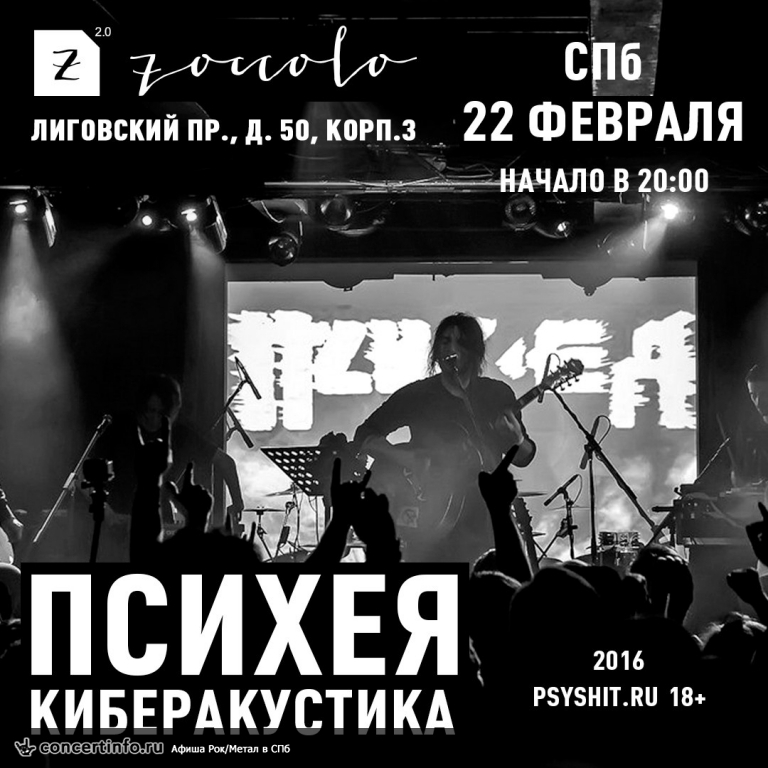 ПСИХЕЯ КИБЕРАКУСТИКА 22 февраля 2016, концерт в Zoccolo 2.0, Санкт-Петербург