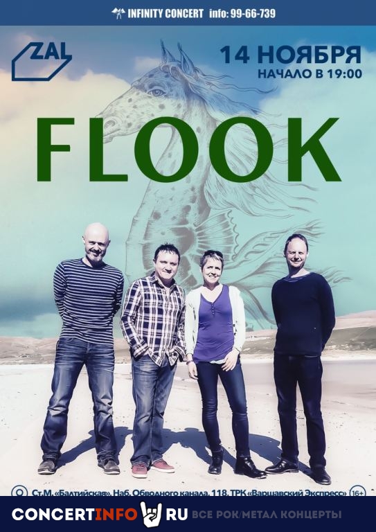 Flook 14 ноября 2019, концерт в ZAL, Санкт-Петербург