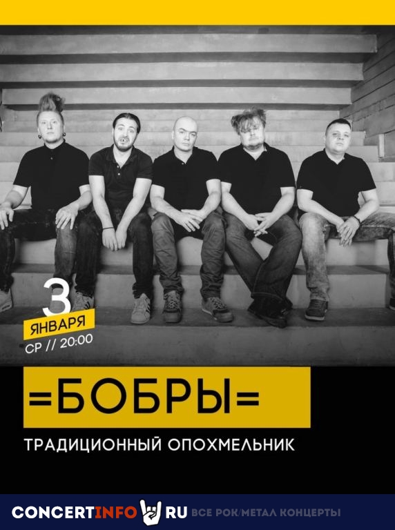 Бобры 3 января 2020, концерт в Live Stars, Москва