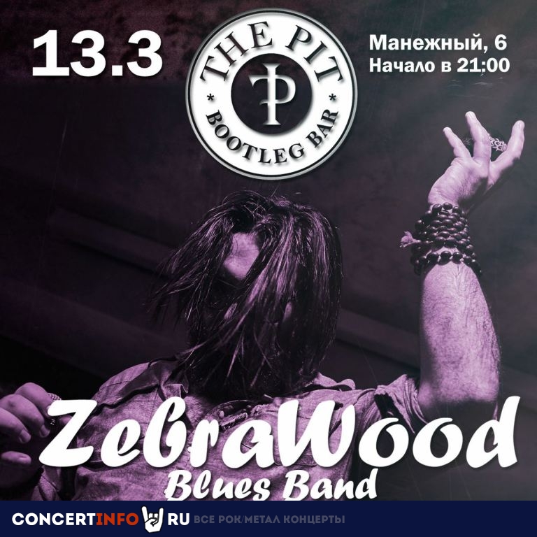 ZebraWood Blues 13 марта 2020, концерт в The Pit bar, Санкт-Петербург