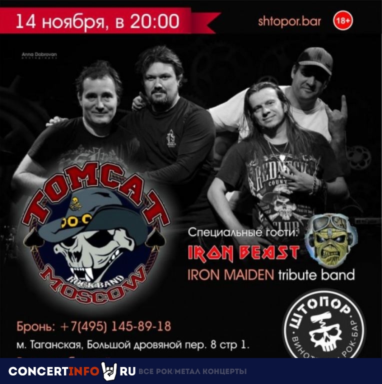 Tom Cat Moscow 14 ноября 2020, концерт в Штопор, Москва