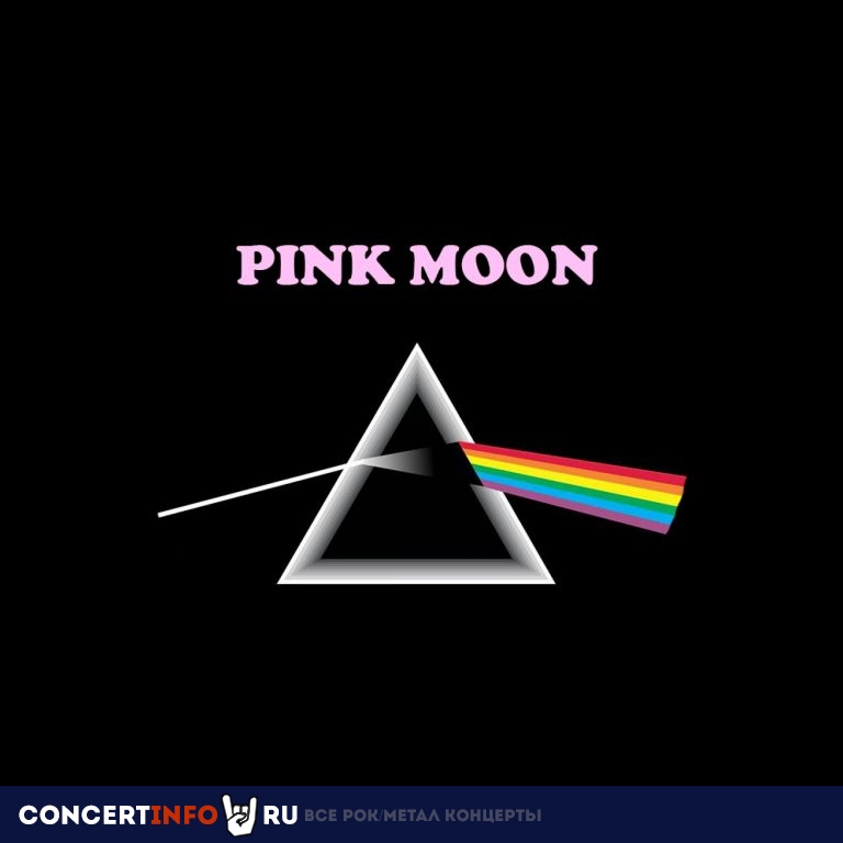 Pink Moon 6 февраля 2021, концерт в Союз композиторов, Москва