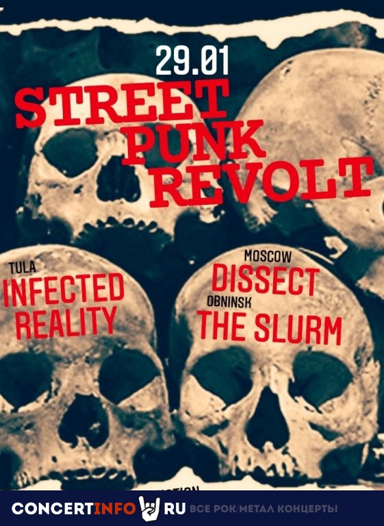 STREET PUNK REVOLT 29 января 2021, концерт в Punk Fiction, Москва