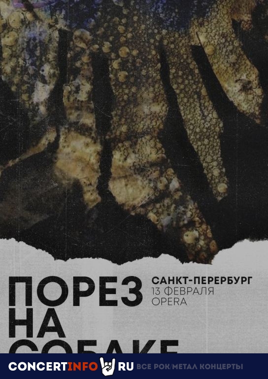 Порез на Собаке 13 февраля 2021, концерт в Opera Concert Club, Санкт-Петербург