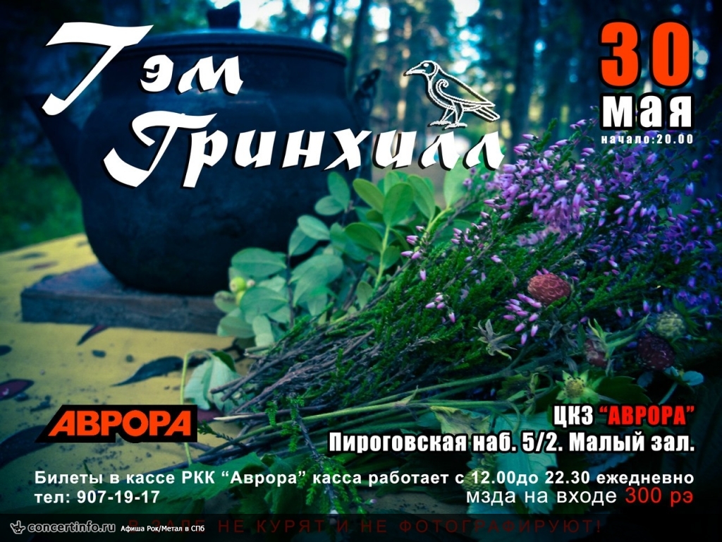 Тэм Гринхилл 30 мая 2013, концерт в Aurora, Санкт-Петербург