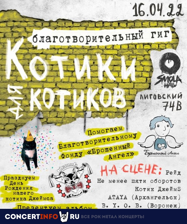 Благофест "Котики для котиков" 16 апреля 2022, концерт в Смола Холл. Smola Hall, Санкт-Петербург