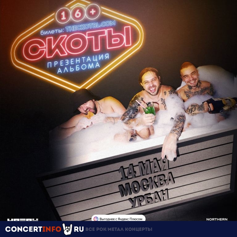 Скоты 14 мая 2023, концерт в Урбан, Москва