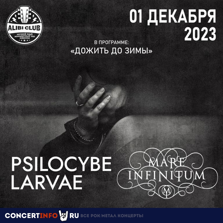 Psilocybe Larvae и Mare Infinitum 1 декабря 2023, концерт в Алиби, Москва