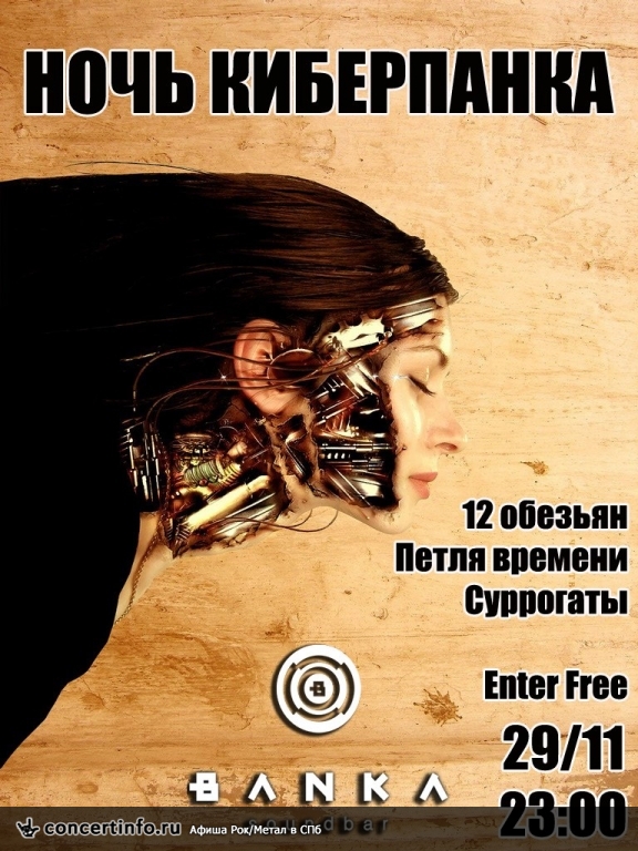 Ночь киберпанка 29 октября 2013, концерт в Banka Soundbar, Санкт-Петербург
