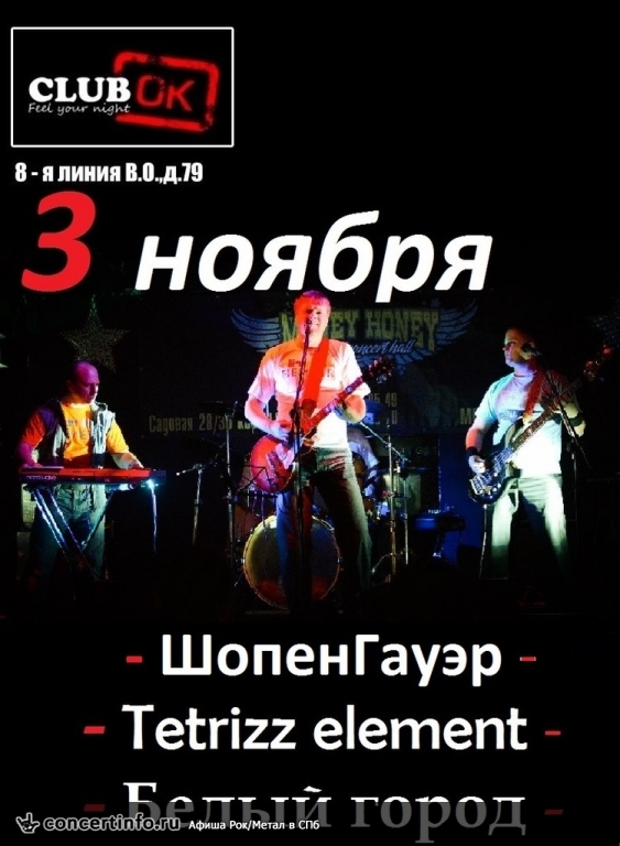 TETRIZZ ELEMENT, Белый Город, ШопенГауэр 3 ноября 2013, концерт в ClubOK, Санкт-Петербург