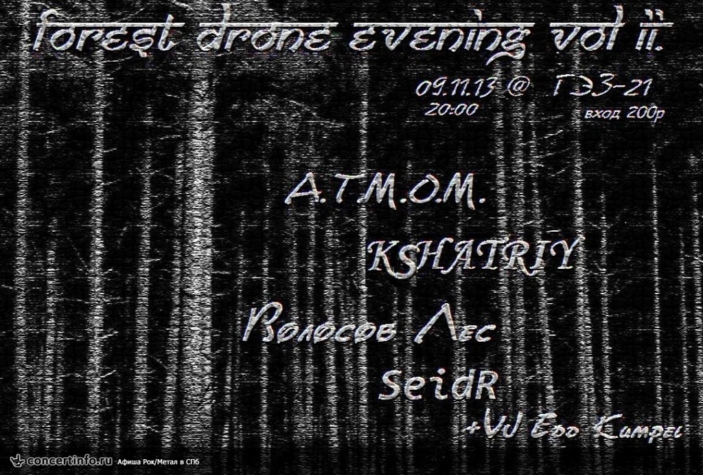 Forest Drone Evening Vol.II 9 ноября 2013, концерт в ГЭЗ-21, Санкт-Петербург