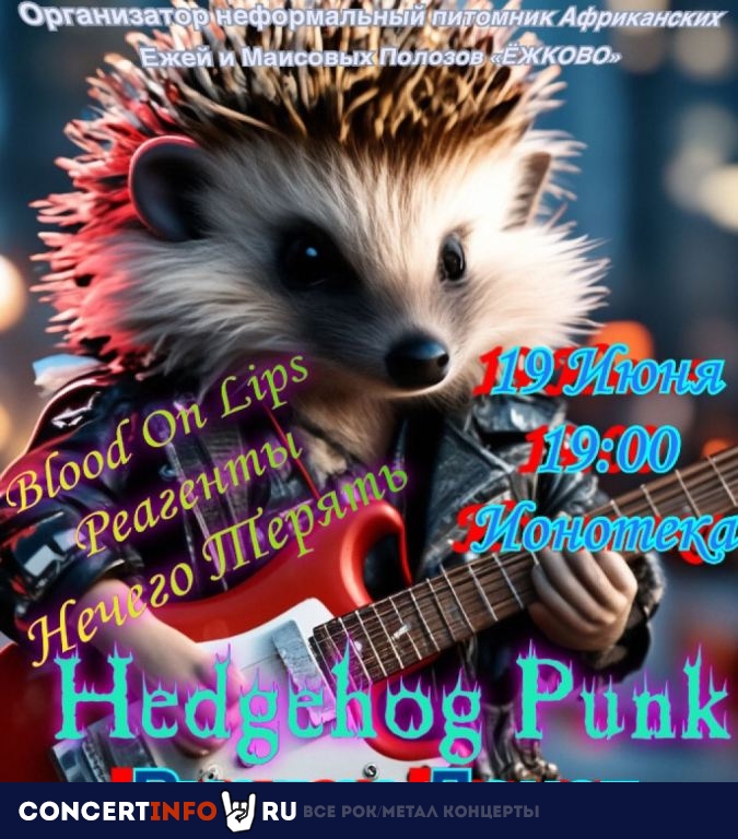 Hedgehog Punk 19 июня 2024, концерт в Ионотека, Санкт-Петербург