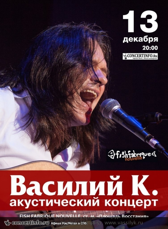 Василий К. Акустика 13 декабря 2013, концерт в Fish Fabrique Nouvelle, Санкт-Петербург