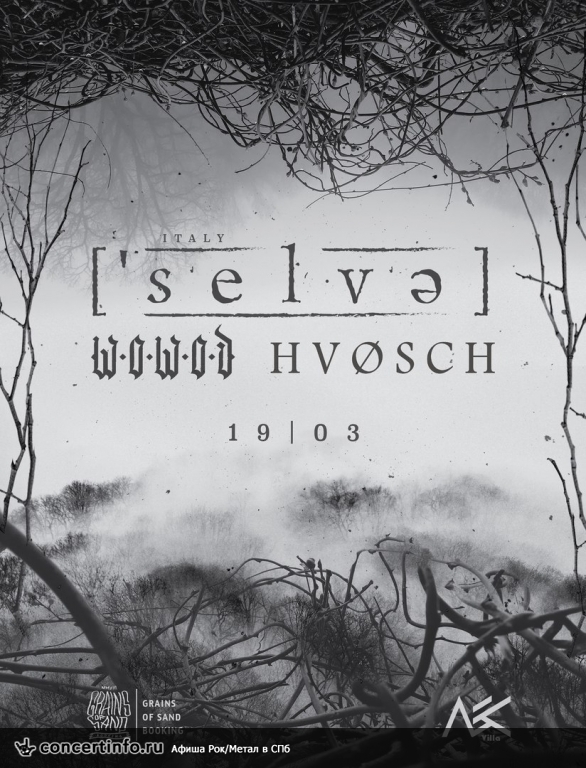 [`selvə] (IT) + HVOSCH + WOWOD 19 марта 2017, концерт в Ласточка, Санкт-Петербург