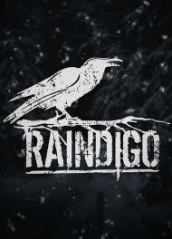 05.01.23 Raindigo. Новогодний концерт
